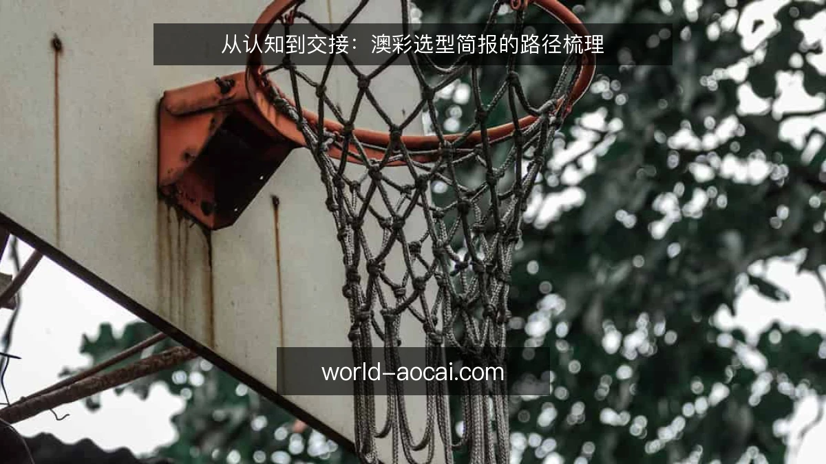 从认知到交接:澳彩选型简报的路径梳理